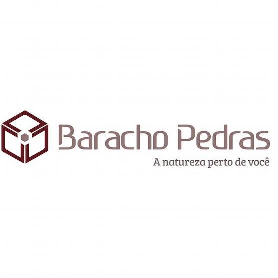 logo_baracho